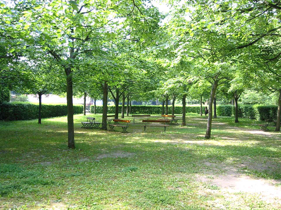 Aus einem Baum erklingen die Stimmen afrikanischer Vögel, aus